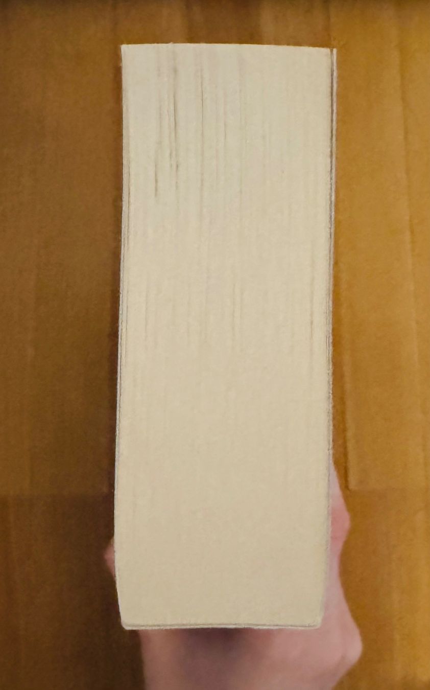 Bücher: Shadowborn- Melanie Lane – Neu (gemäss Beschreibung) aus Bettwil von bellis_perennis_222 3