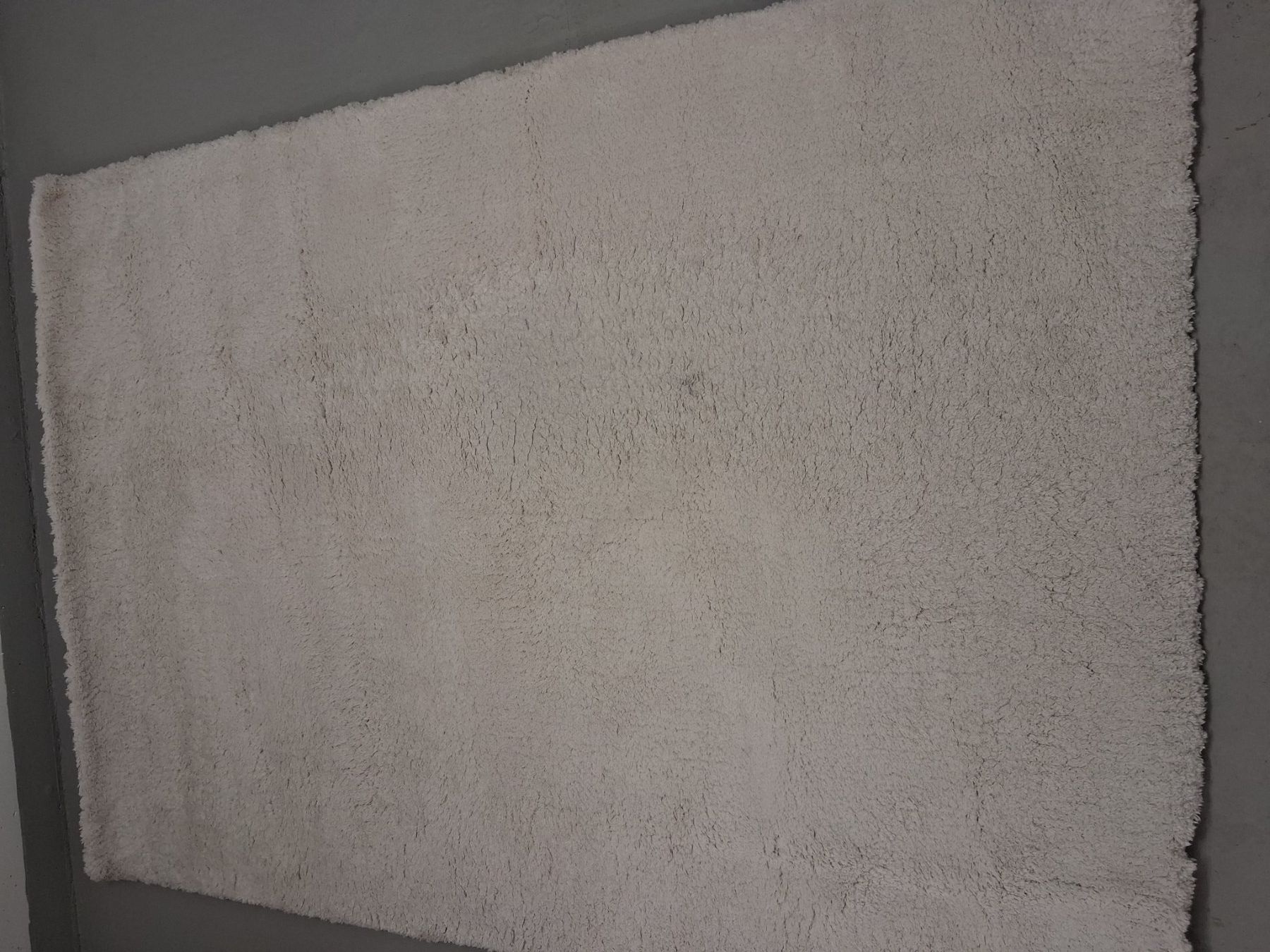 Micasa Tappeti: Hochflor- & Shaggy-Teppiche – Nuovo (secondo la descrizione) da Fruthwilen venduto da nin_gvs8