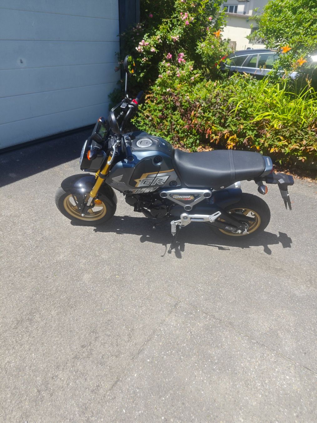 Honda Strada: Honda MSX 125 Grom ab 1Fr. – Usato da Wiler venduto da psfreak15 2