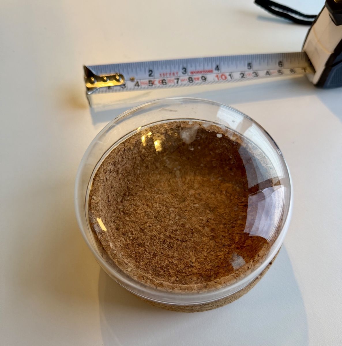 Tutte le decorazioni: Dekoration Behälter mit Glassdekel – Nuovo (secondo la descrizione) da Zürich venduto da eportex