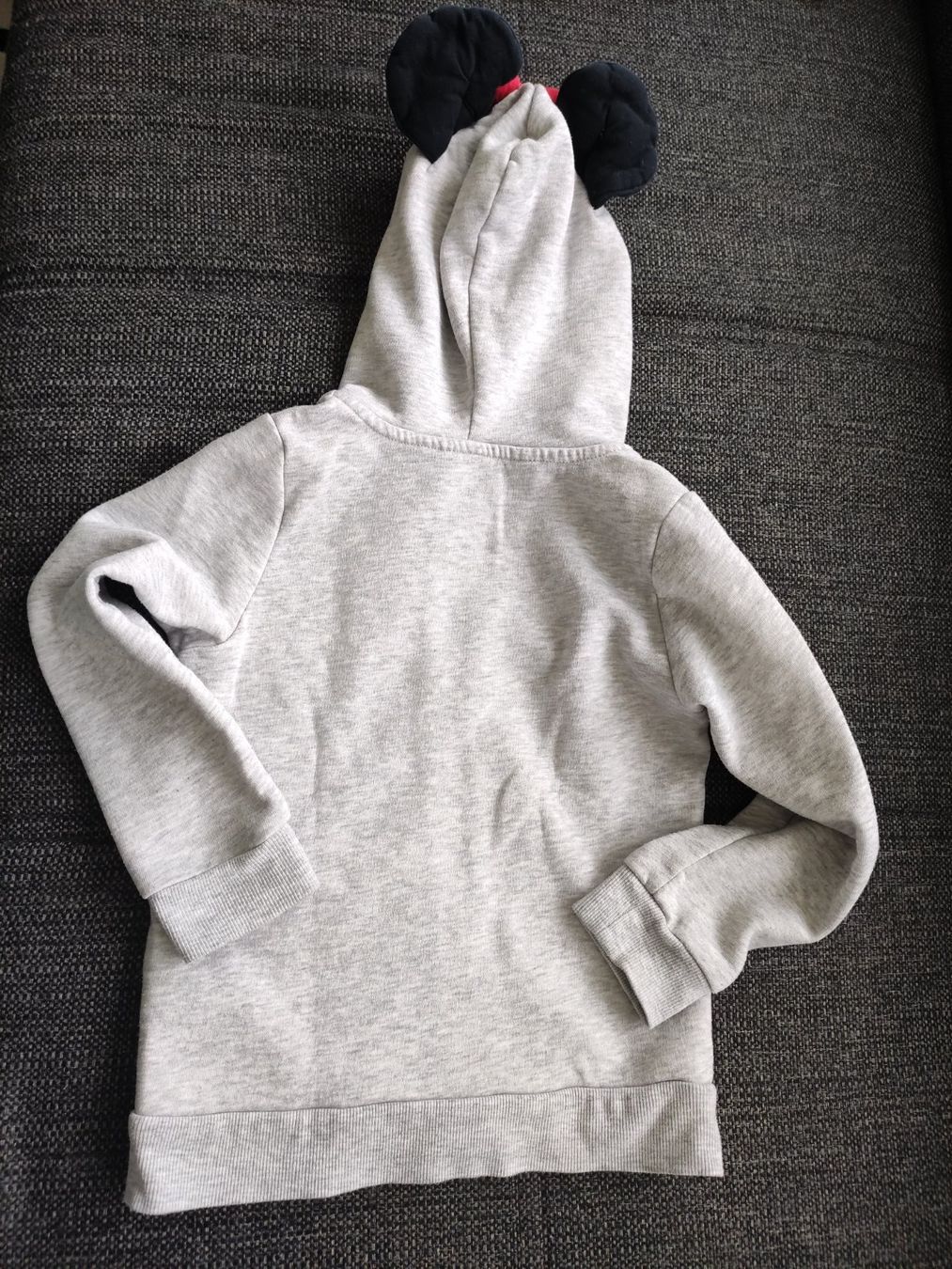 H&M Pullover & Sweatshirts: Kapuzenjacke H&M Gr 110/116 – Gebraucht aus Zollikerberg von nmonika 2