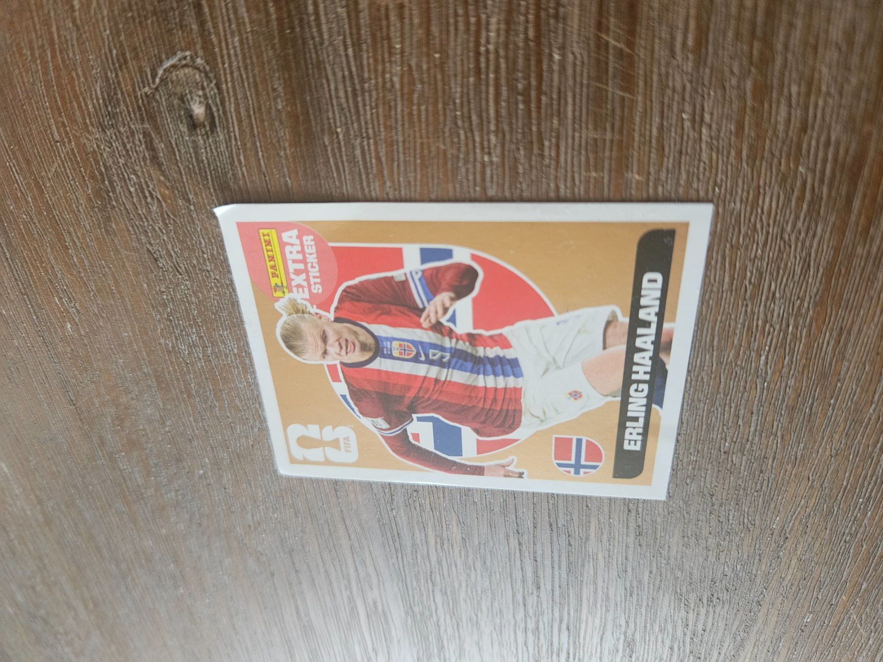 Panini Carte collezionabili: Panini extra Sticker Erling Haaland Bronze – Usato da Zizers venduto da fab_mz8m 3