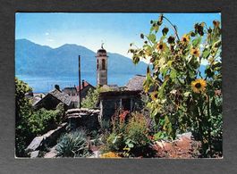 AK Brione Locarno Lago Maggiore