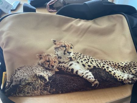 Sporttasche Funke Gepard Motiv neu