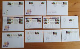 FDC Lot: Millenium 23.11.1999 /  11 Briefe