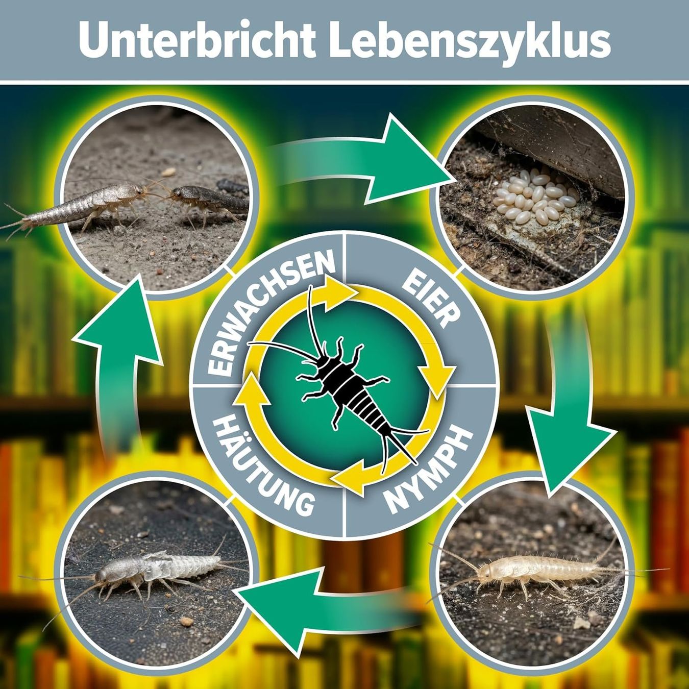 Sonstiges für Haushalt & Wohnen: Silberfischchen Spray biozidfrei – 500 ml – Neu und originalverpackt aus Suhr von SchnapperCH 9