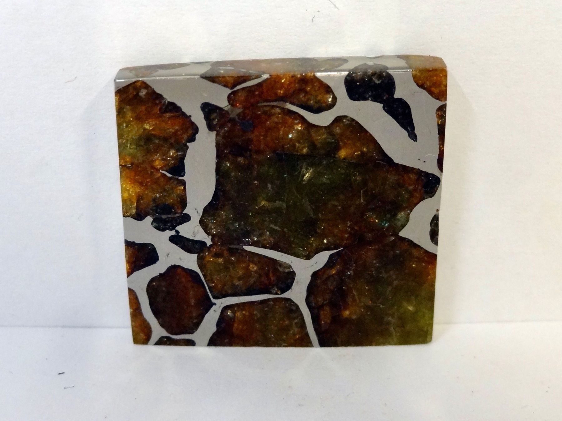 Minéraux & Lithothérapie: Meteorit PALLASIT Eisen-Stein-Meteorit IMILAC CHILE – Neuf (Voir description) à Kerzers par djstarsky73 4