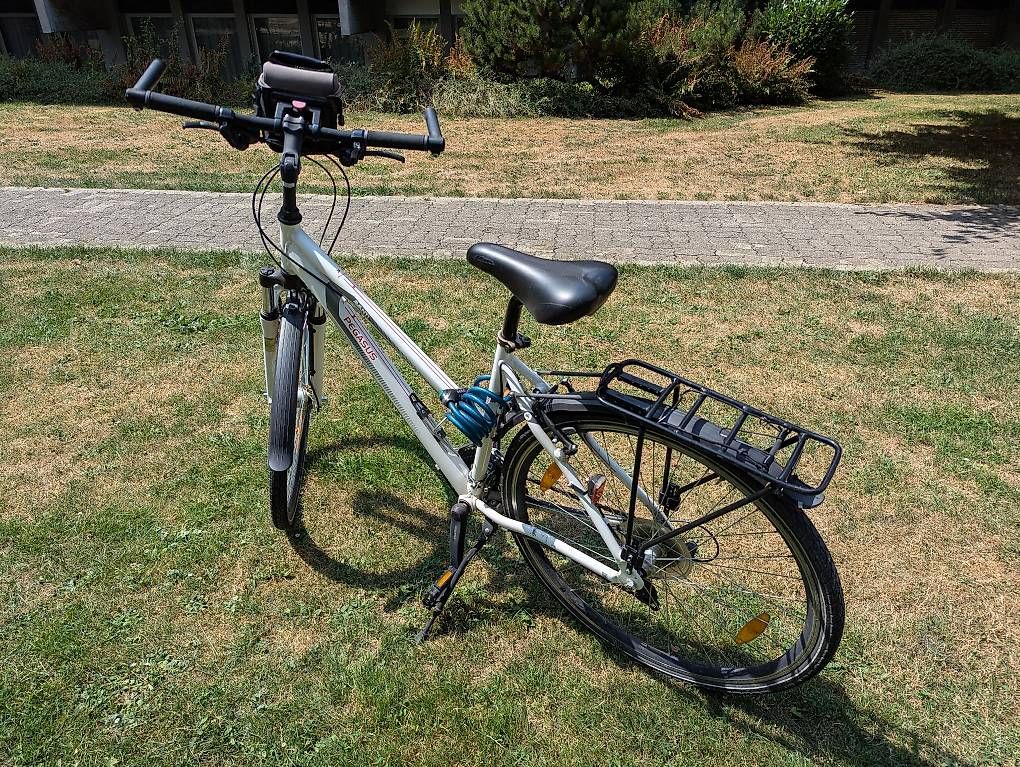 Biciclette: Pegasus Avanti Velo – Usato da Bern venduto da deb_t8fl 1