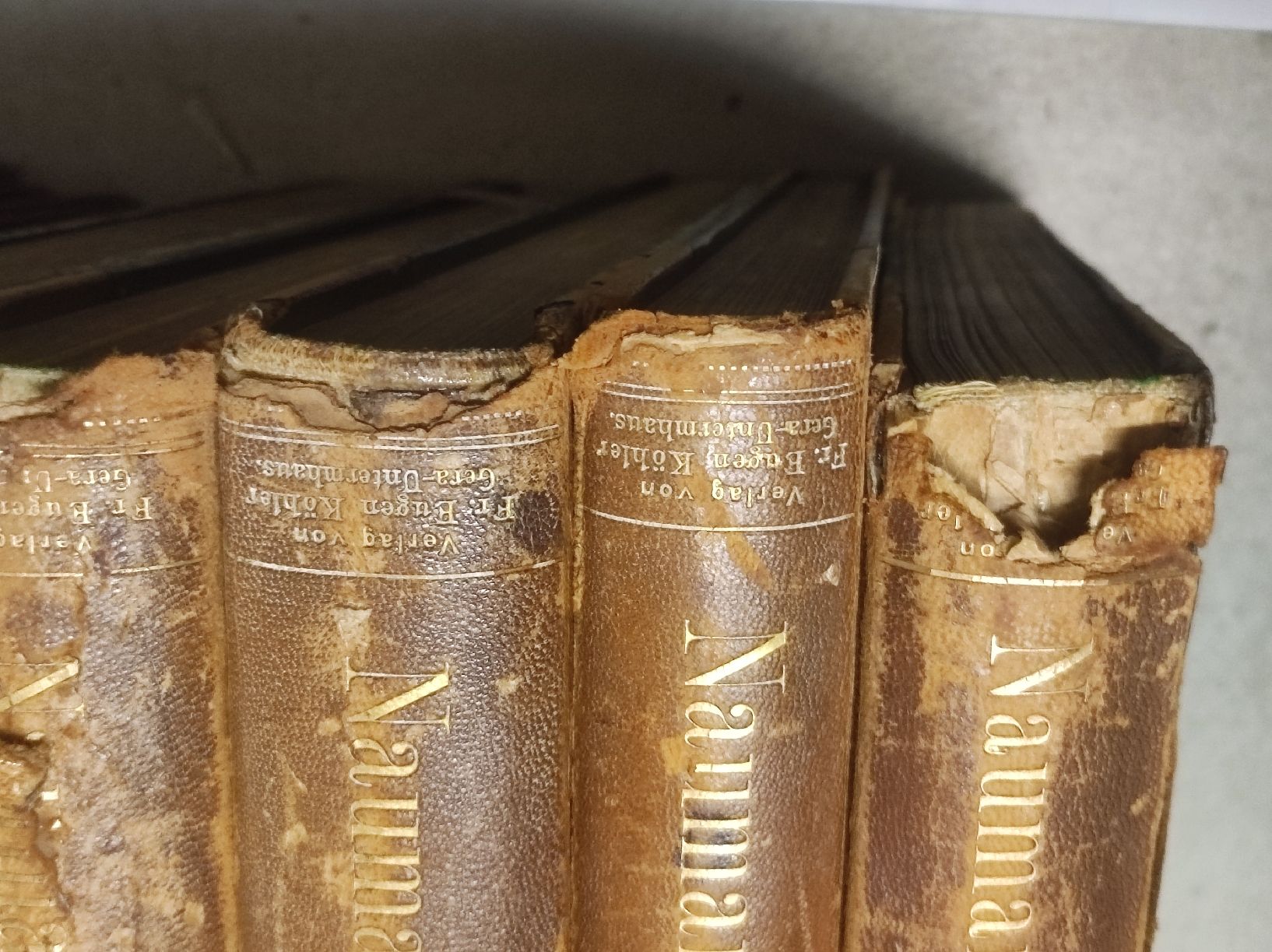 Bücher: ZOOLOGIE - ORNITHOLOGIE - NAUMANN – Gebraucht aus Goldach von Gaip 7