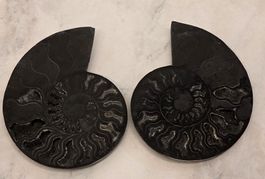 Schwarzes Ammonitenpaar G 300g