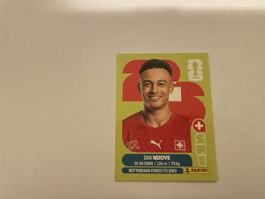 FIFA WM 2026 Dan Ndove SUI 19