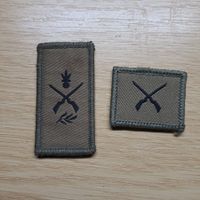 Abzeichen Infanterie