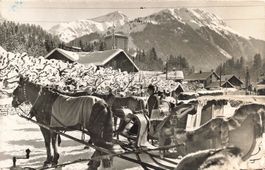 Gstaad (BE) – Pferdeschlitten beim Bahnhof Schlitten