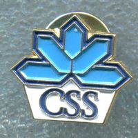 CSS  Logo