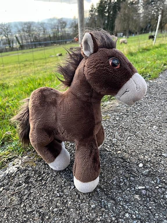 Giocattoli: Stofftier Pferd Kuscheltier – Usato da Bellikon venduto da Ndorfer