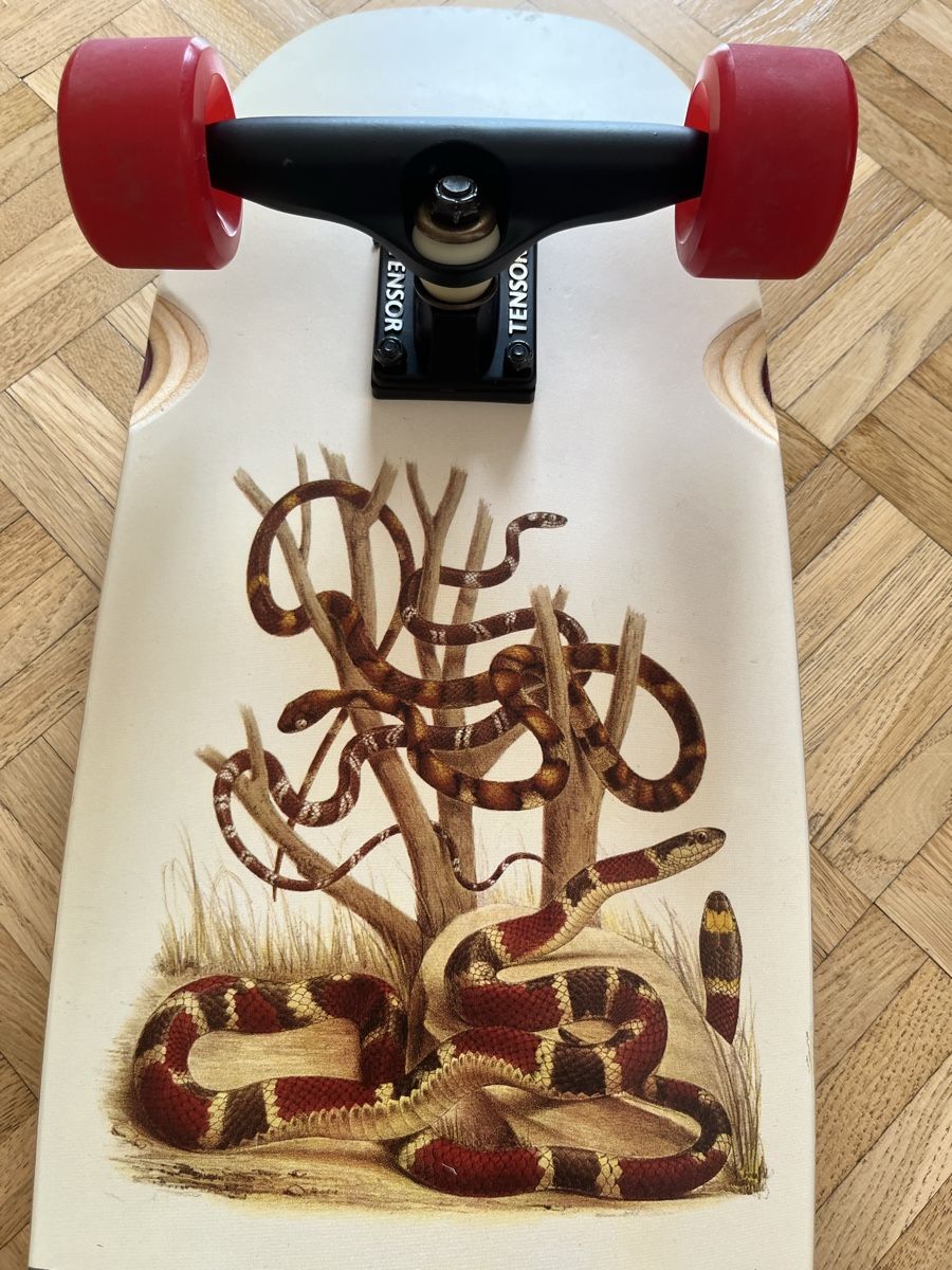 Globe Skateboards: Skateboard Globe Disaster Snakes  – Neuf (Voir description) à Pfäffikon ZH par nbe_pv9x 5