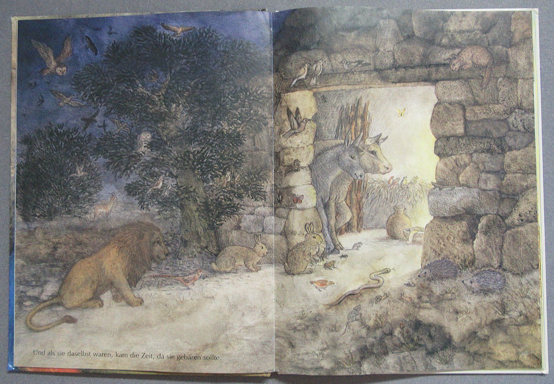 Bücher: Die Weihnachtsgeschichte - von Eleonore Schmid – Gebraucht aus Auenstein von Padabimbim 3