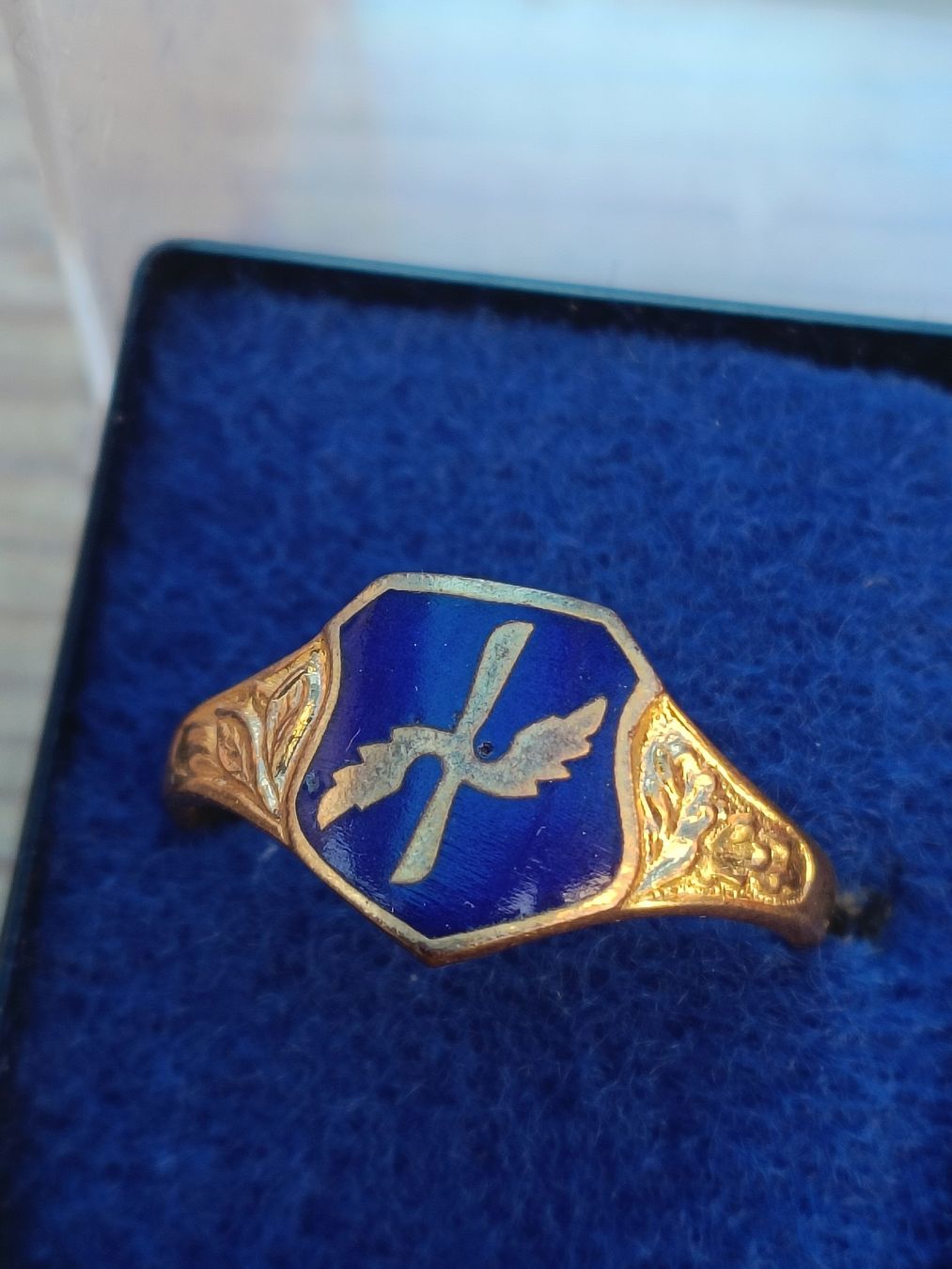 Schweizer Armee Uniformi: Historische Schweizer Militär Ringe Schweizer Luftwaffe 1930 – Usato da Brugg AG venduto da Ente015 1