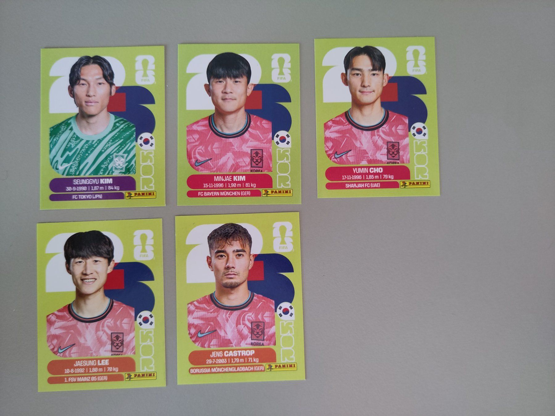 Panini Carte collezionabili: FIFA Panini South Korea (KOR) – Usato da Bern venduto da gil_rkx8