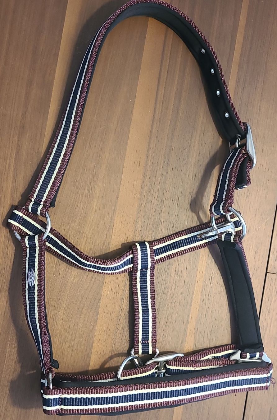 Briglie & Cavezze: Chices Halfter - Grösse Pony - Neuwertig – Nuovo (secondo la descrizione) da Dagmersellen venduto da buc_786y