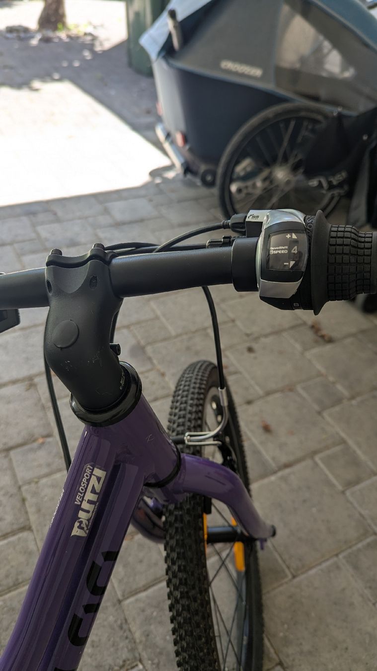 Naloo Biciclette: Naloo 20 Zoll – Usato da Rüti ZH venduto da S_Like 7