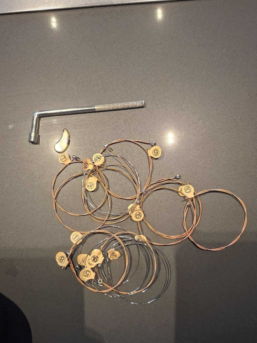 Strumenti musicali: harpika 21 cordes bleu avec étui accessoires – Nuovo (secondo la descrizione) da Collombey venduto da lon_m7qd 1
