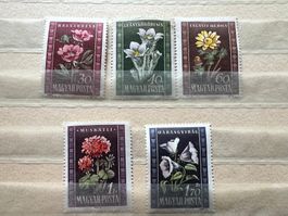 Ungarn Magyar 1951 Blumen * (4348)