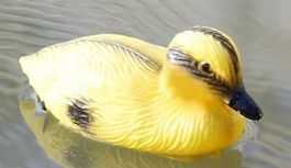 Schwimm Ente "Küken" (12 cm)