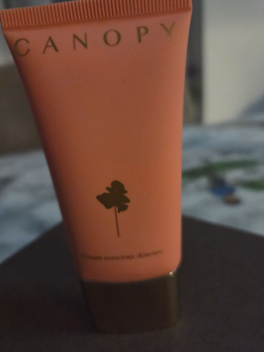 Protezione per viso e udito: Canopy Masked – Nuovo e nell'imballaggio originale da Gossau SG venduto da sar_7vt5 2