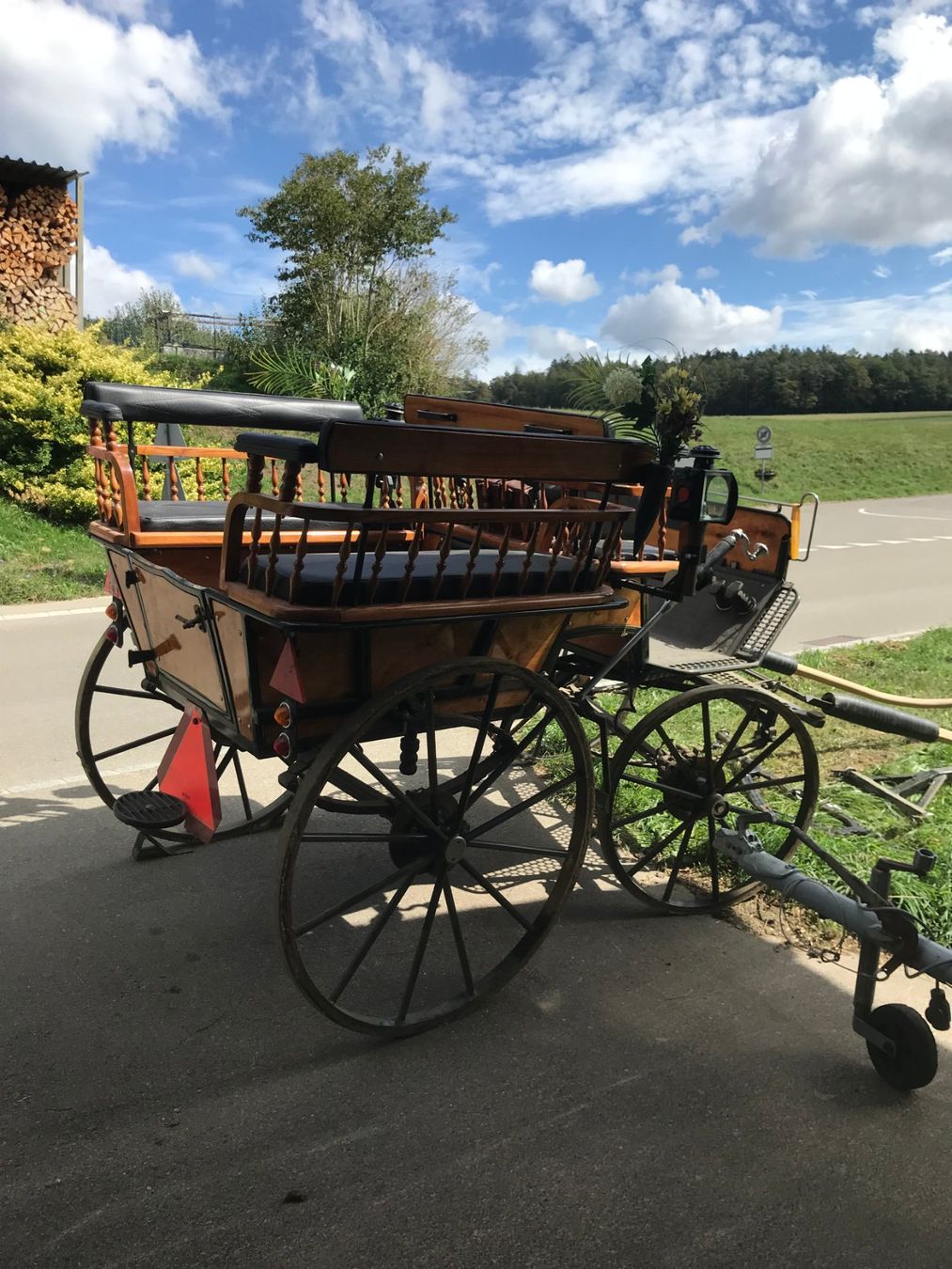 Carrozze: Pferdekutsche Wagonette – Usato da Niederhasli venduto da Fribi_bea