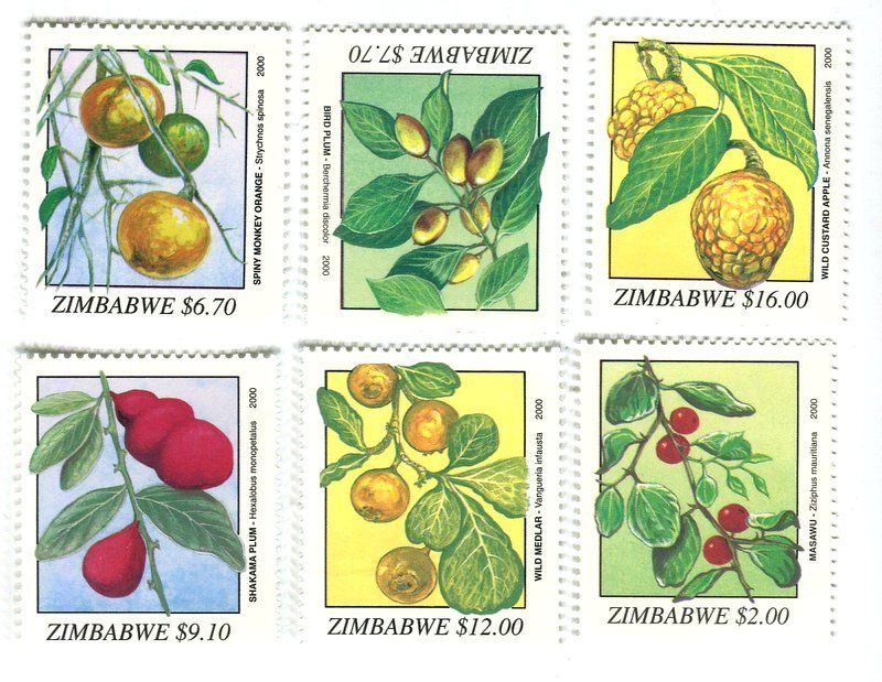 Tutti i francobolli: Briefmarken "Obst". Simbabwe – Nuovo e nell'imballaggio originale da Basel venduto da Butsch5