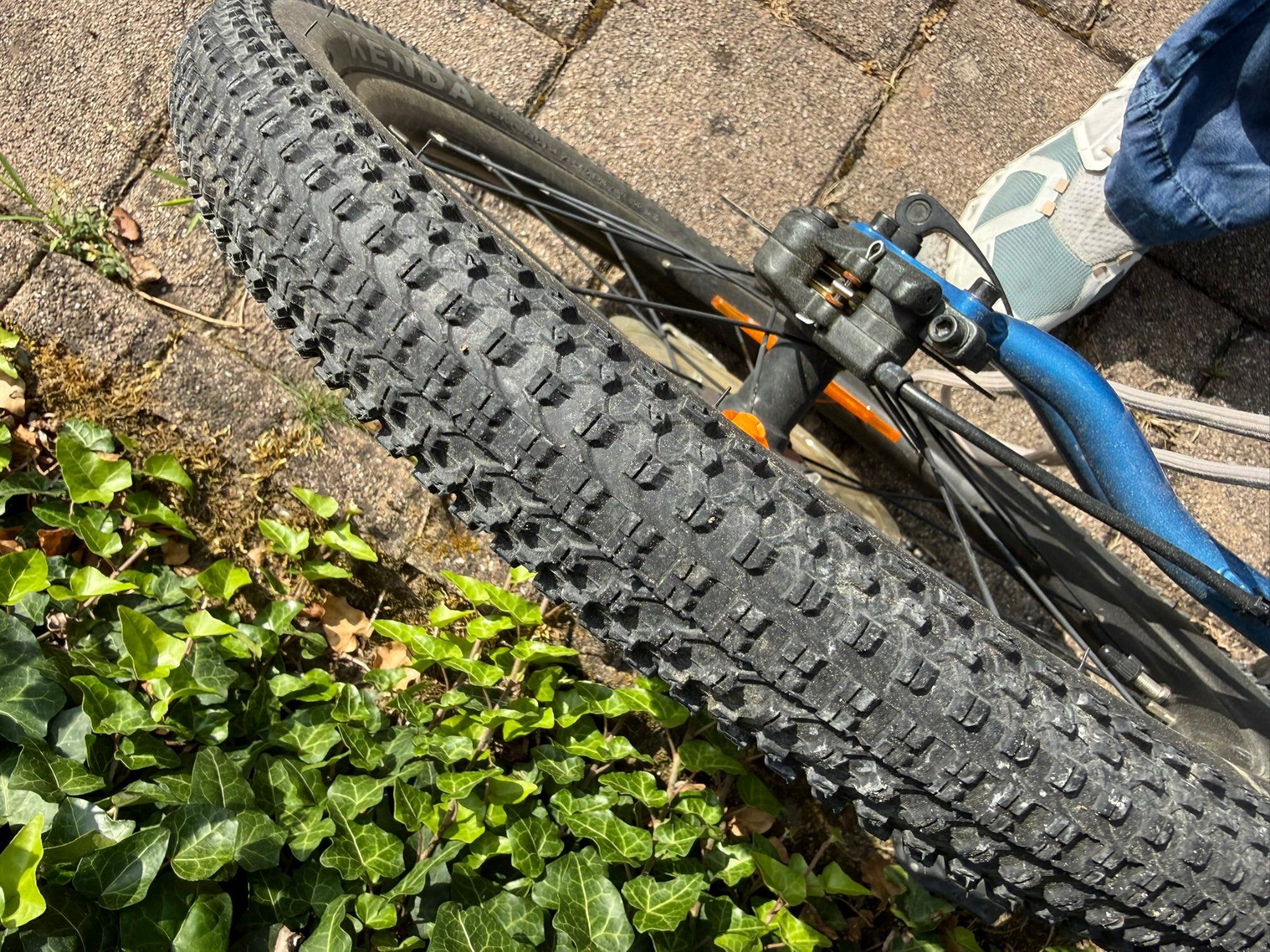 Merida Biciclette: Merida Kinderfahrrad 20Zoll – Usato da Bad Zurzach venduto da rotheva 2