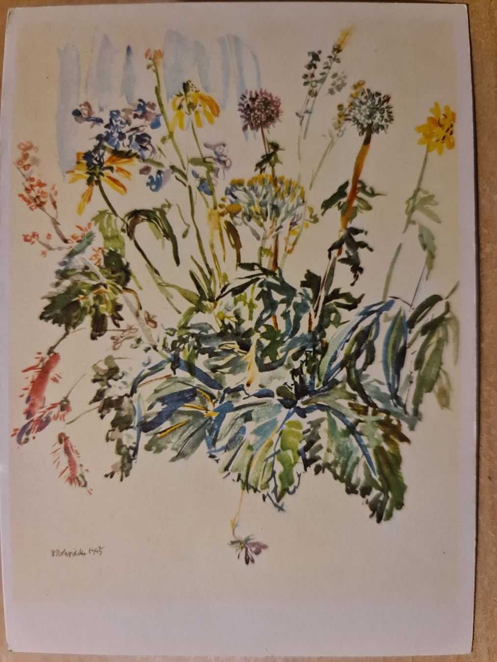Cartoline postali: Ansichtskarte Sommerblumen Aquarell Kunstdruck – Nuovo (secondo la descrizione) da Dintikon venduto da Vexi