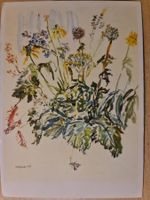 Ansichtskarte Sommerblumen Aquarell Kunstdruck
