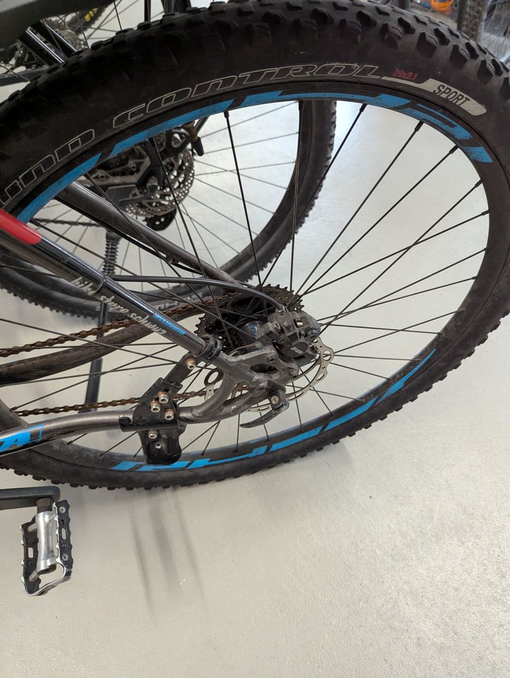 Specialized Velos: Specialized Rockhopper Comp 29 – Solides MTB mit Potential – Gebraucht aus Schwyz von  4