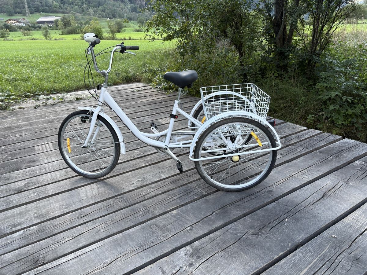 Biciclette: Schönes Dreiradvelo – Usato da Silenen venduto da Bryna