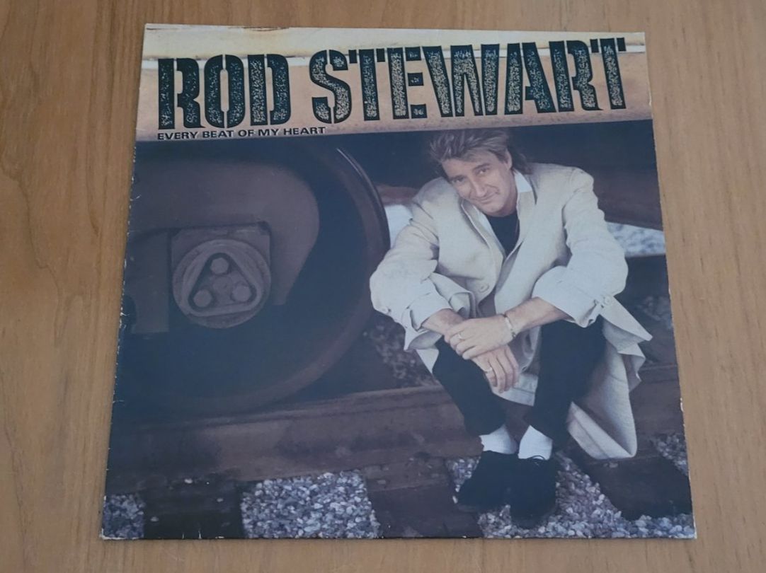 Vinyles: LP  Rod Stewart – D'occasion à Martigny par MZ-67