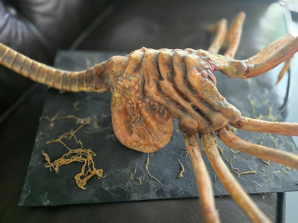 Figuren: Alien Facehugger Lifesize – Gebraucht aus Ermenswil von Ingram0 4