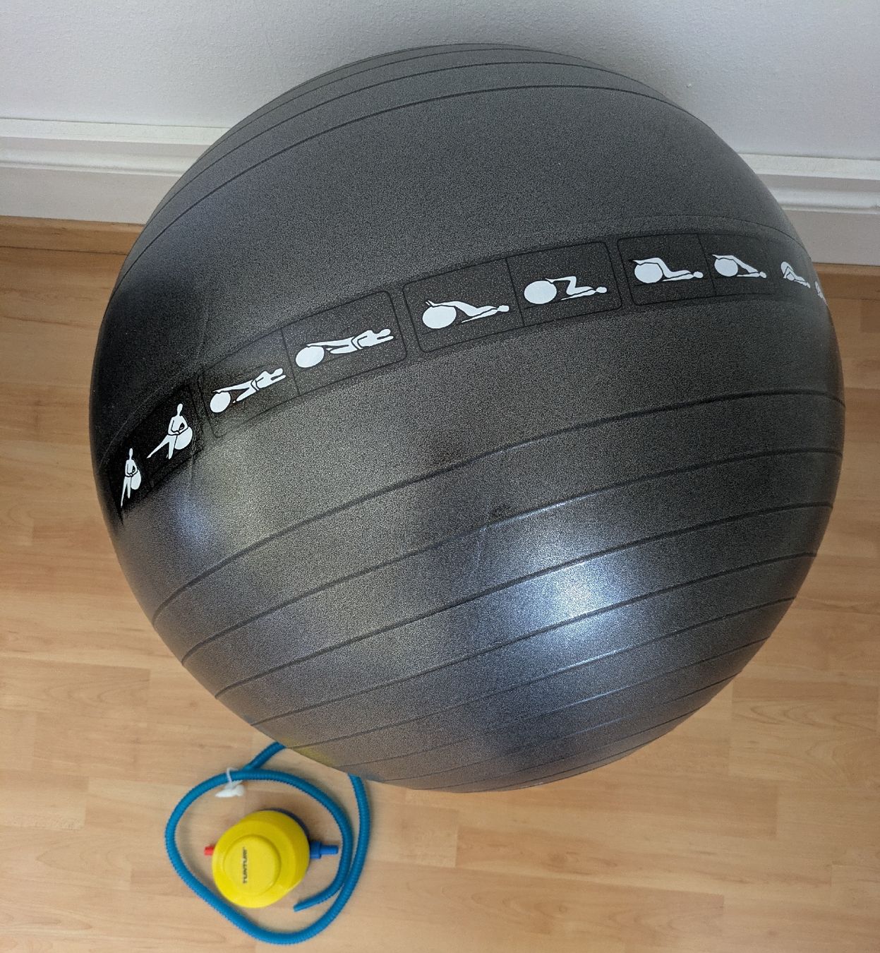 Tunturi Palloni: Gymnastikball 65cm – Nuovo (secondo la descrizione) da Zürich venduto da CamiLi1234