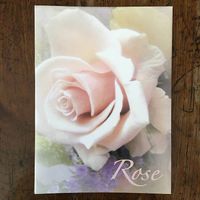 Set correspondance : papier à lettre et enveloppes « Rose »