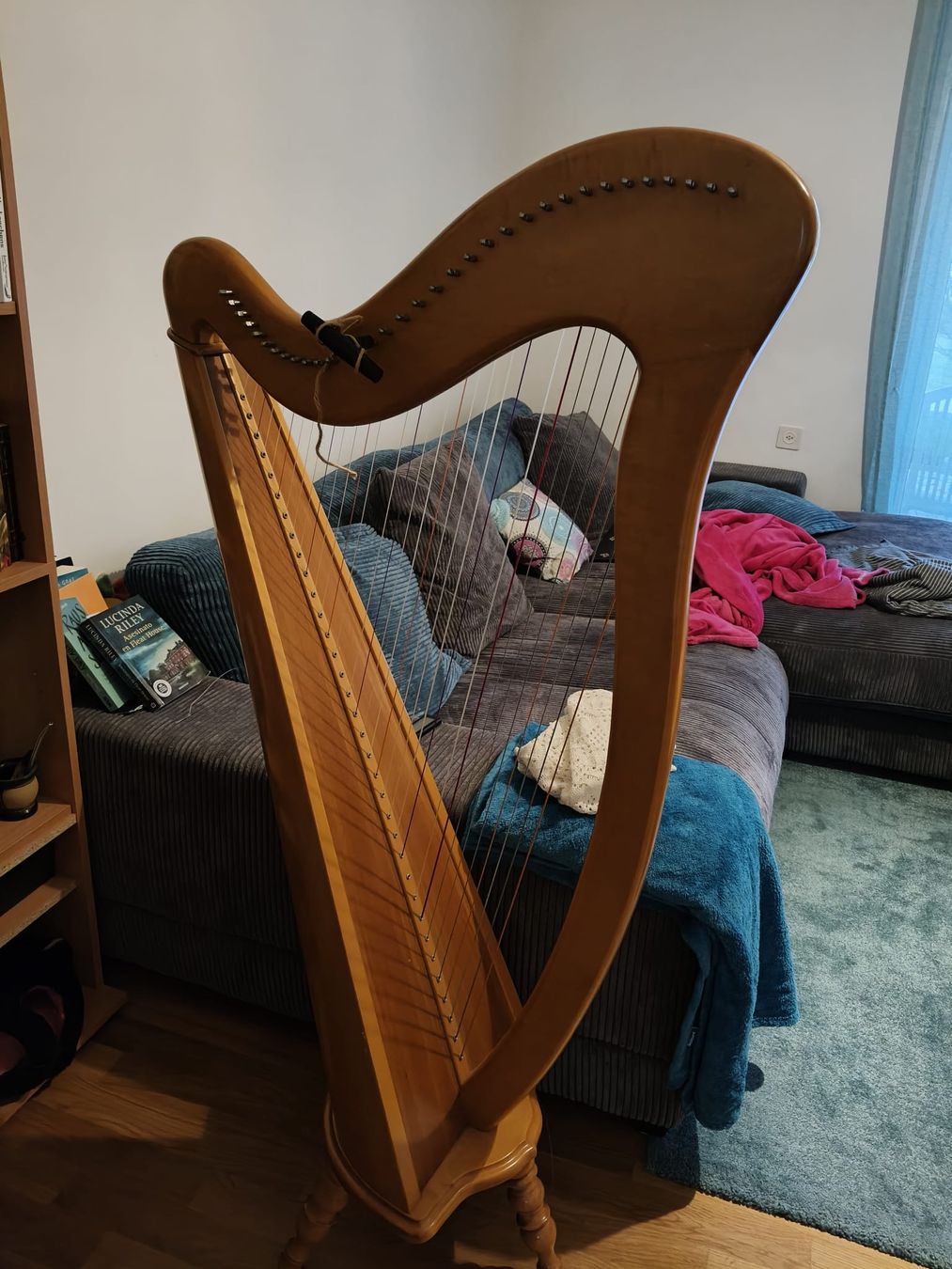 Strumenti musicali: Kinder Harfe – Usato da St.Gallen venduto da car_fps2 1