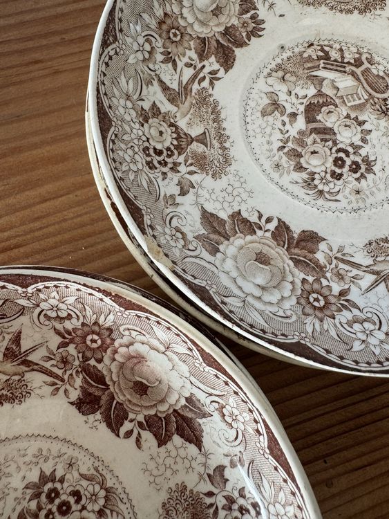 Villeroy & Boch Assiettes: Villeroy&Boch, Wild Rose, Untertasse, 5 Stück, Vintage – D'occasion à Lanzenhäusern par Galaa 4