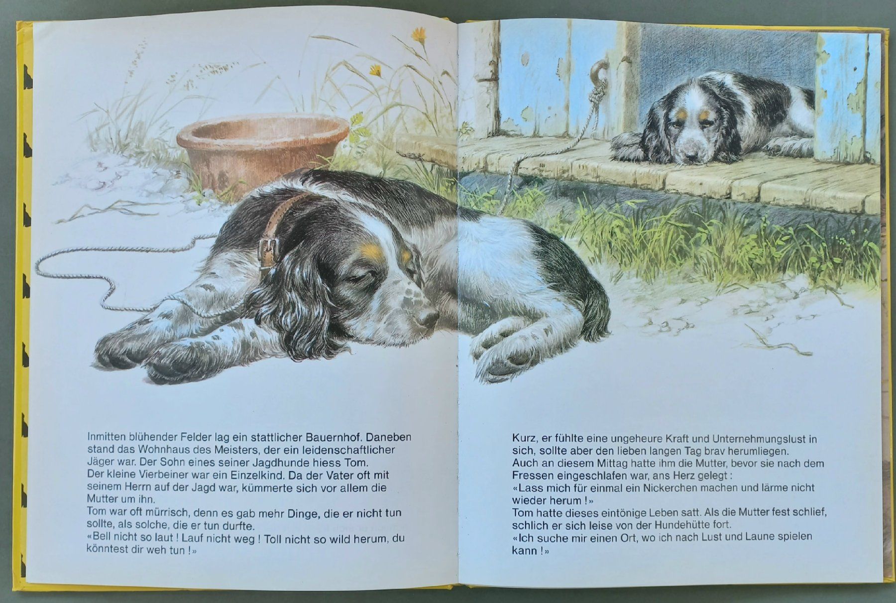 Libri: Kinderbuch - Tom, das herrenlose Hündchen – Usato da Niederuzwil venduto da lubimaja 1
