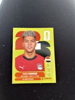Panini EGY 15