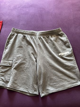 Puma Trainingshorts, Herren, XXL, Grau, Top Zustand!
