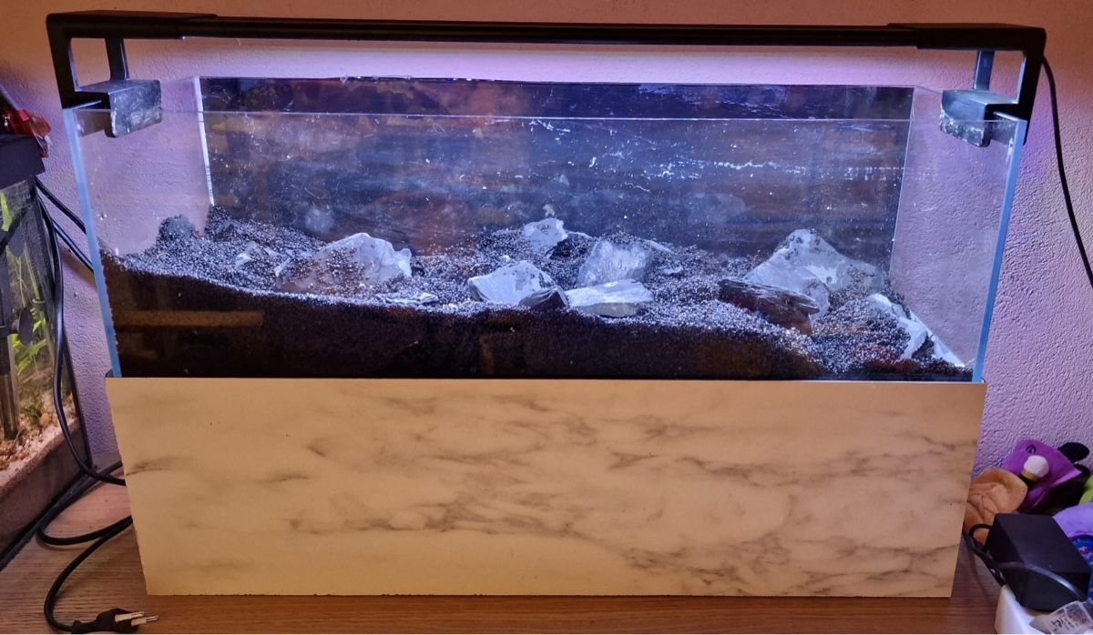 Acquari: UNS Long Aquarium mit LED Beleuchtung. – Usato da Obermumpf venduto da chr_675z 5