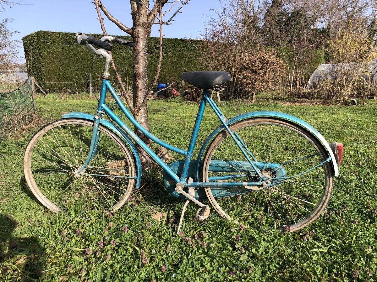 Raleigh Biciclette: Vélo vintage – Usato da Corsier GE venduto da Nitoja 7