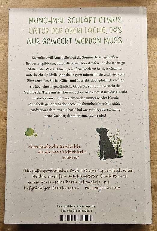 Libri: Der Sommer in dem der Blitz mich traf – Usato da Merishausen venduto da NicoleB81 1