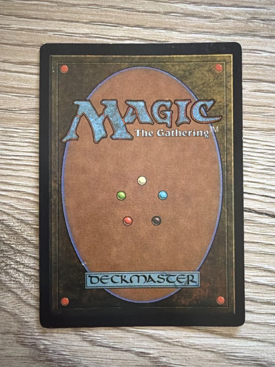 Magic The Gathering Carte collezionabili: Magic the Garhering: Squandered Resources, EX – Usato da St. Gallen venduto da lob_bkw9 2