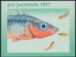 1997 - Pro Juventute - Markenheftchen - Ersttag ET